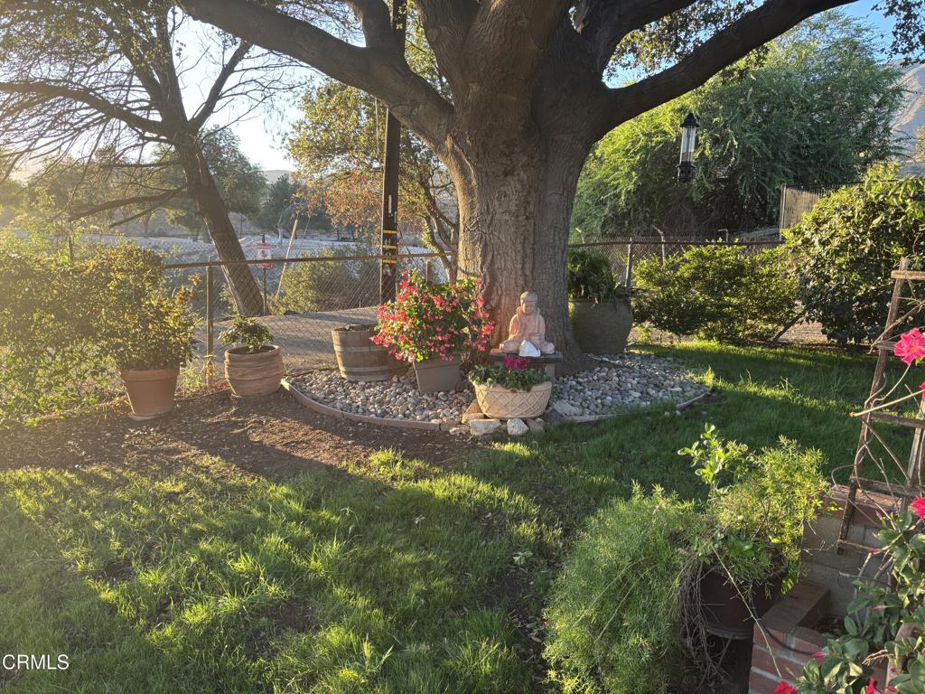 MLS #P1-23471 image #15