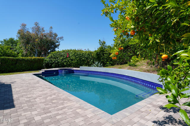 MLS #P1-23507 image #37