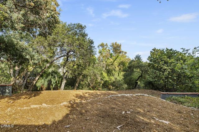 MLS #P1-23541 image #32