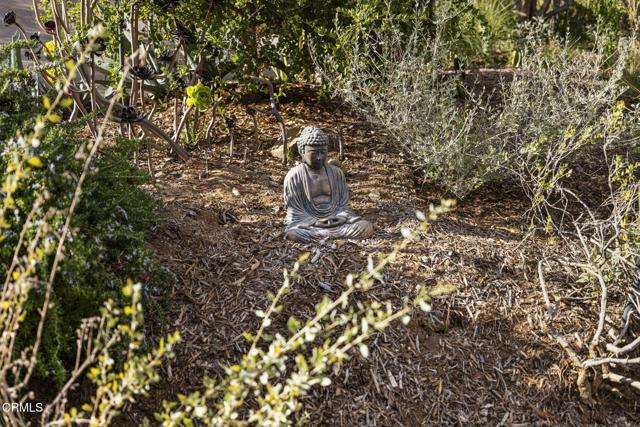 MLS #P1-23541 image #37