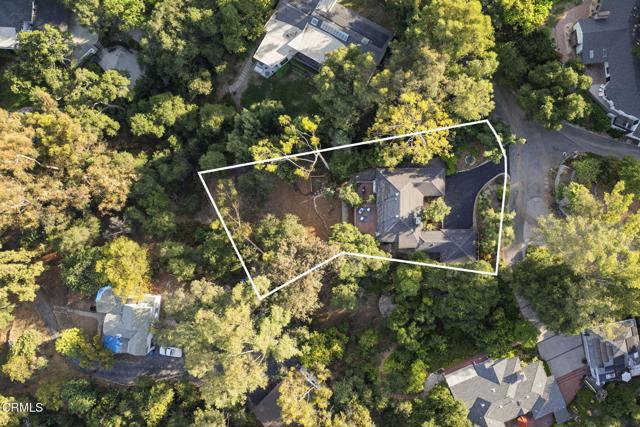 MLS #P1-23541 image #42