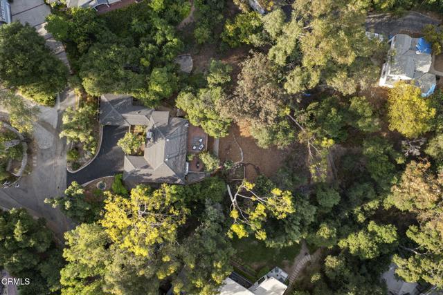 MLS #P1-23541 image #43