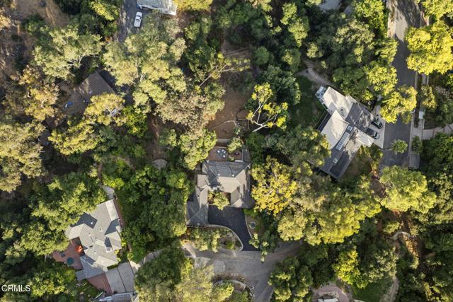 MLS #P1-23541 image #45