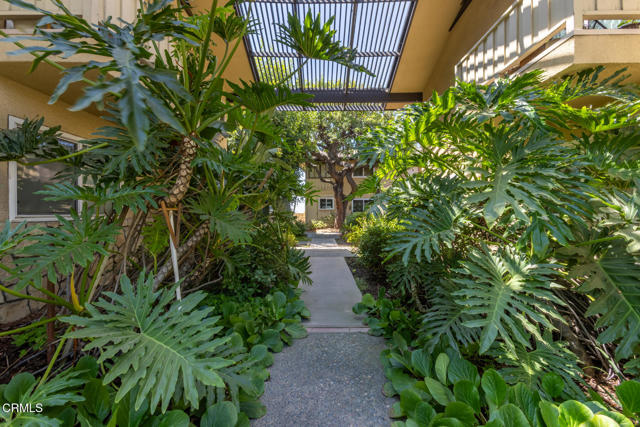 MLS #P1-23550 image #1