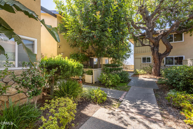 MLS #P1-23550 image #26