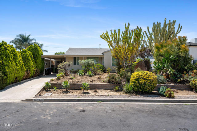 MLS #P1-23634 image #4