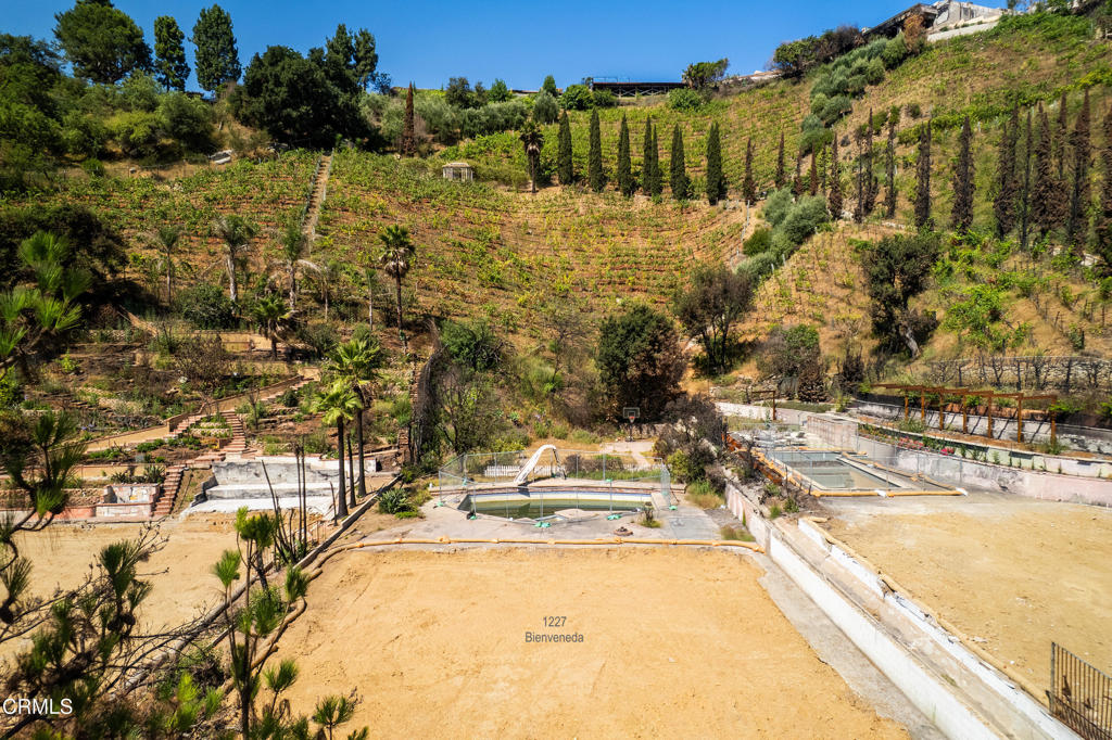 MLS #P1-23647 image #1