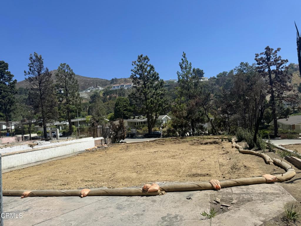 MLS #P1-23647 image #23