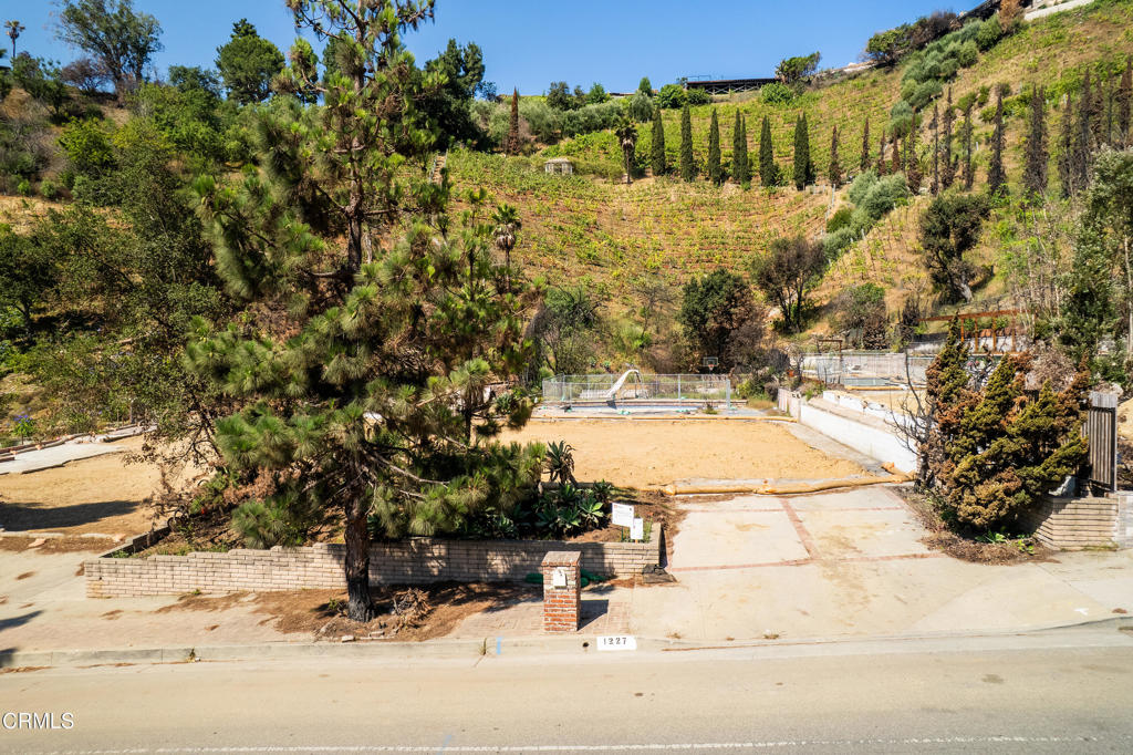 MLS #P1-23647 image #3