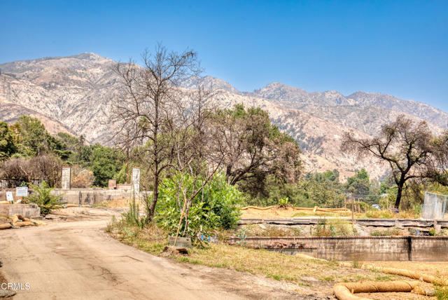 MLS #P1-23651 image #4