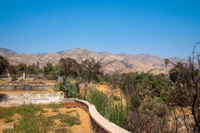 MLS #P1-23651 image #5