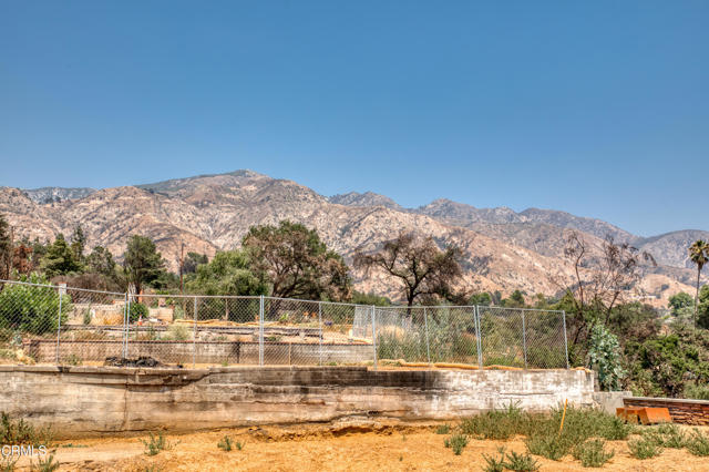 MLS #P1-23651 image #6