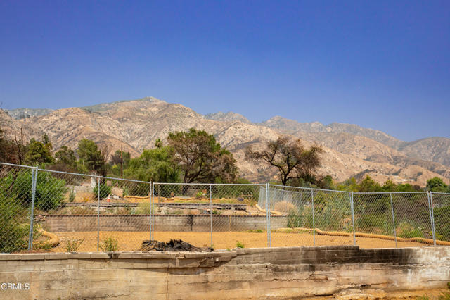 MLS #P1-23651 image #8