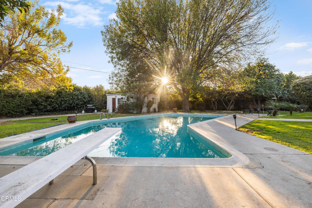 MLS #P1-23776 image #15