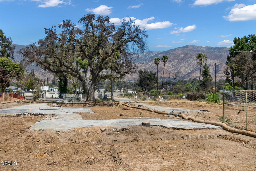 MLS #P1-23793 image #10