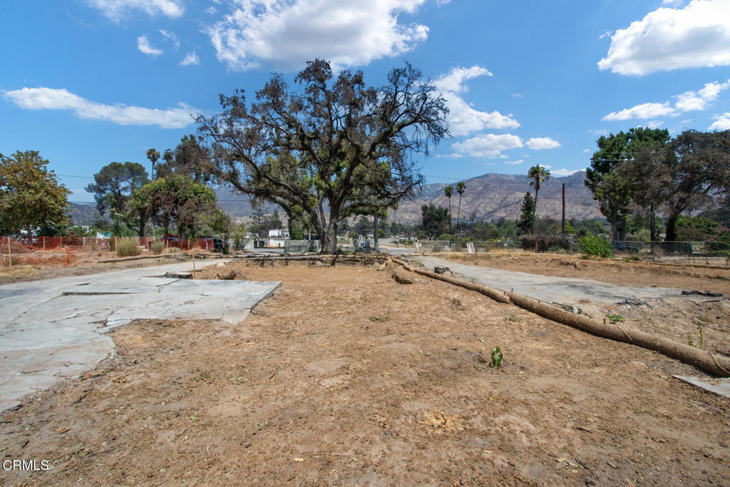 MLS #P1-23793 image #12