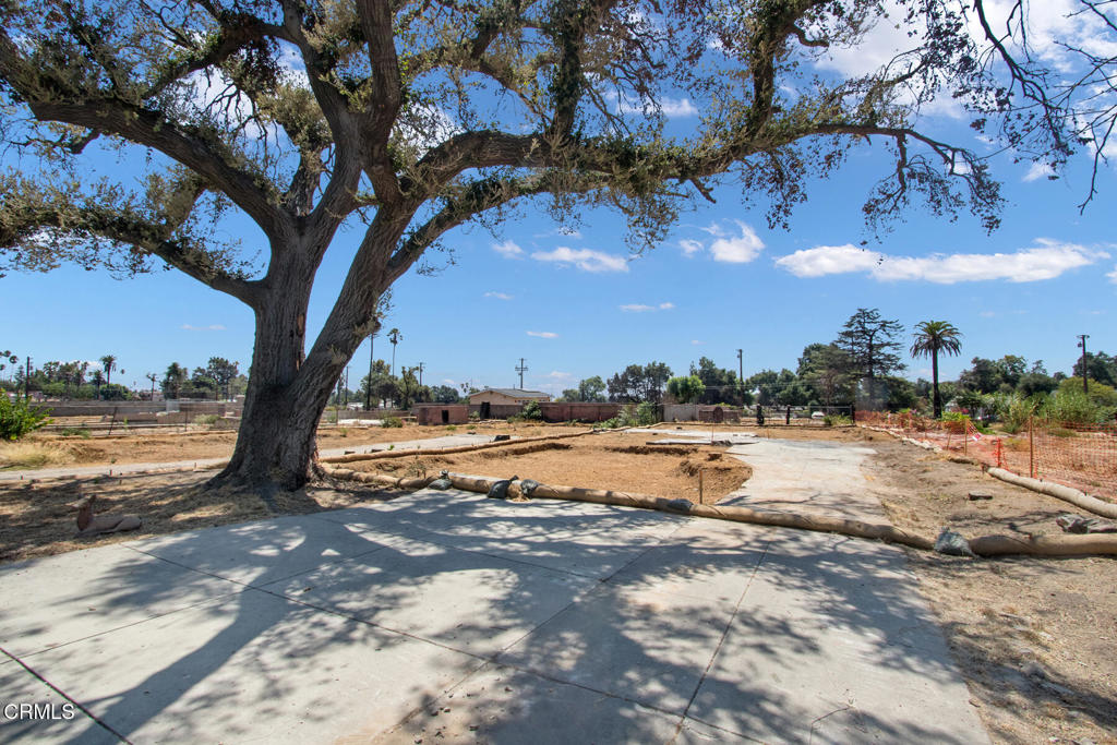 MLS #P1-23793 image #5