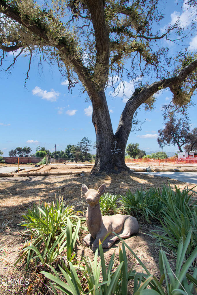 MLS #P1-23793 image #7