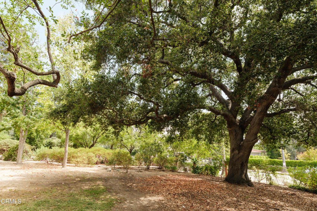 MLS #P1-23828 image #7