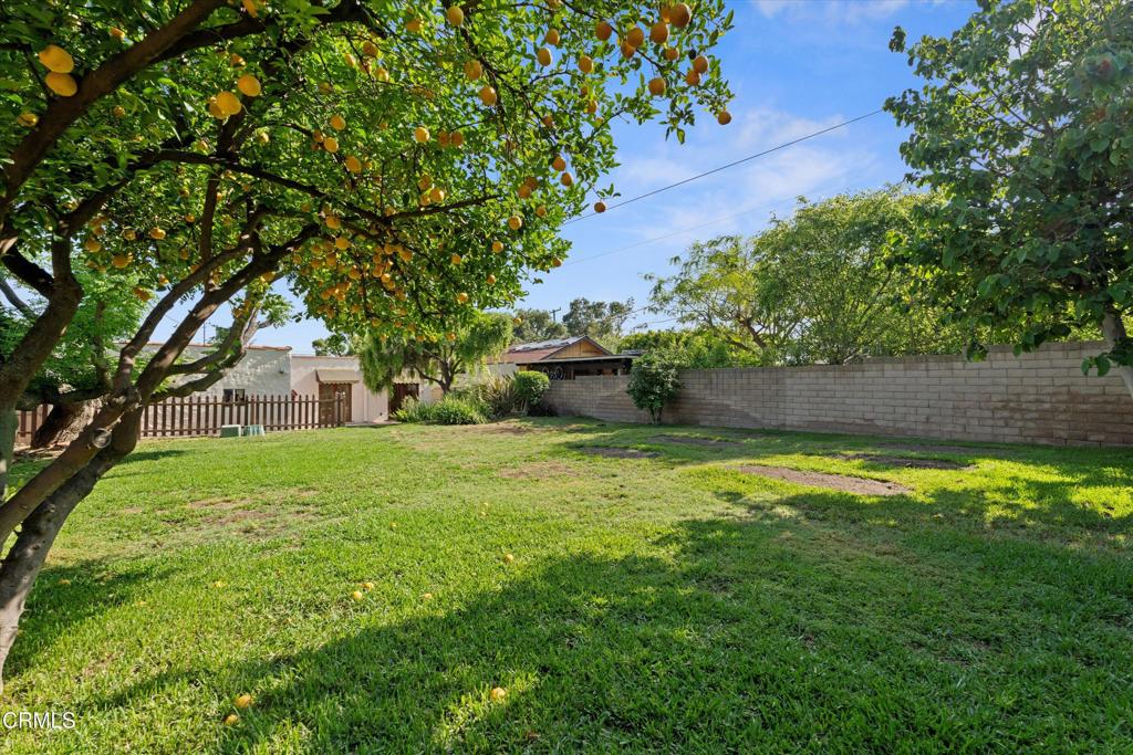 MLS #P1-23932 image #24