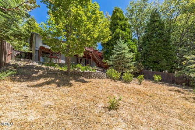 MLS #P1-23946 image #23