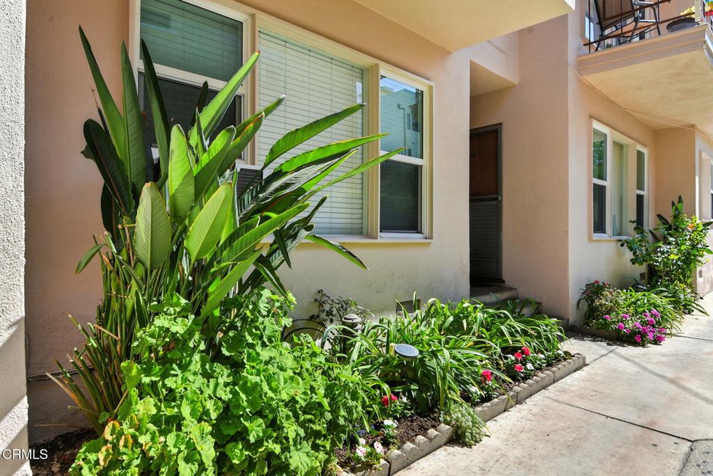 MLS #P1-23947 image #10