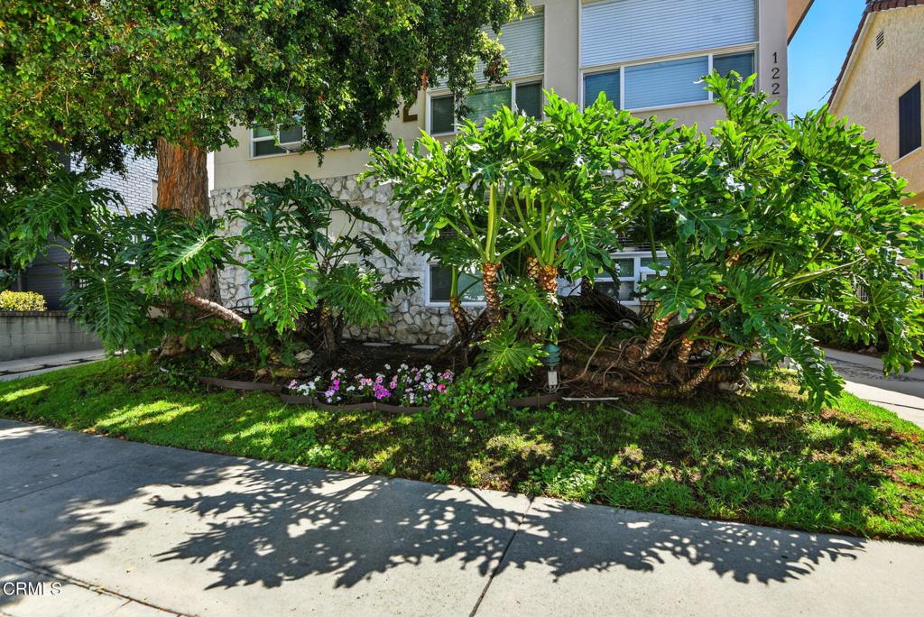 MLS #P1-23947 image #6