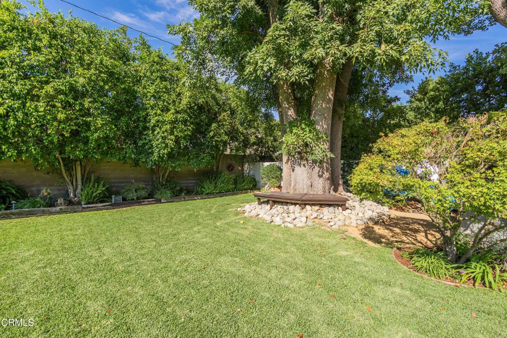 MLS #P1-23957 image #41