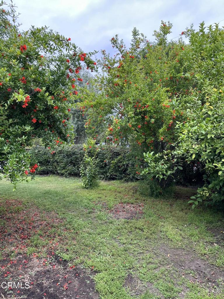 MLS #P1-23959 image #18