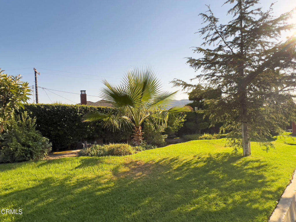 MLS #P1-23960 image #9