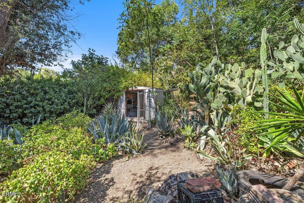 MLS #P1-24012 image #1