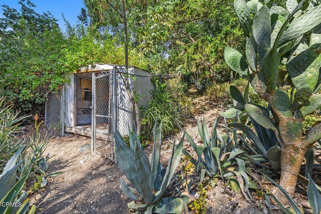 MLS #P1-24012 image #2