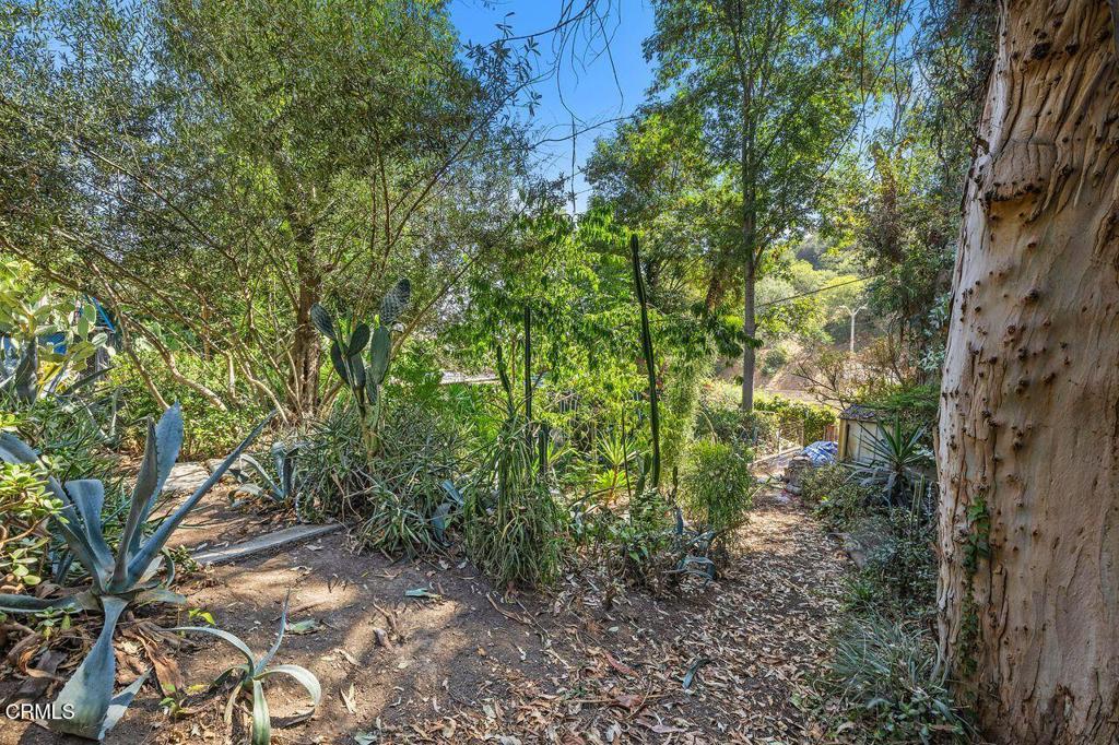 MLS #P1-24012 image #3