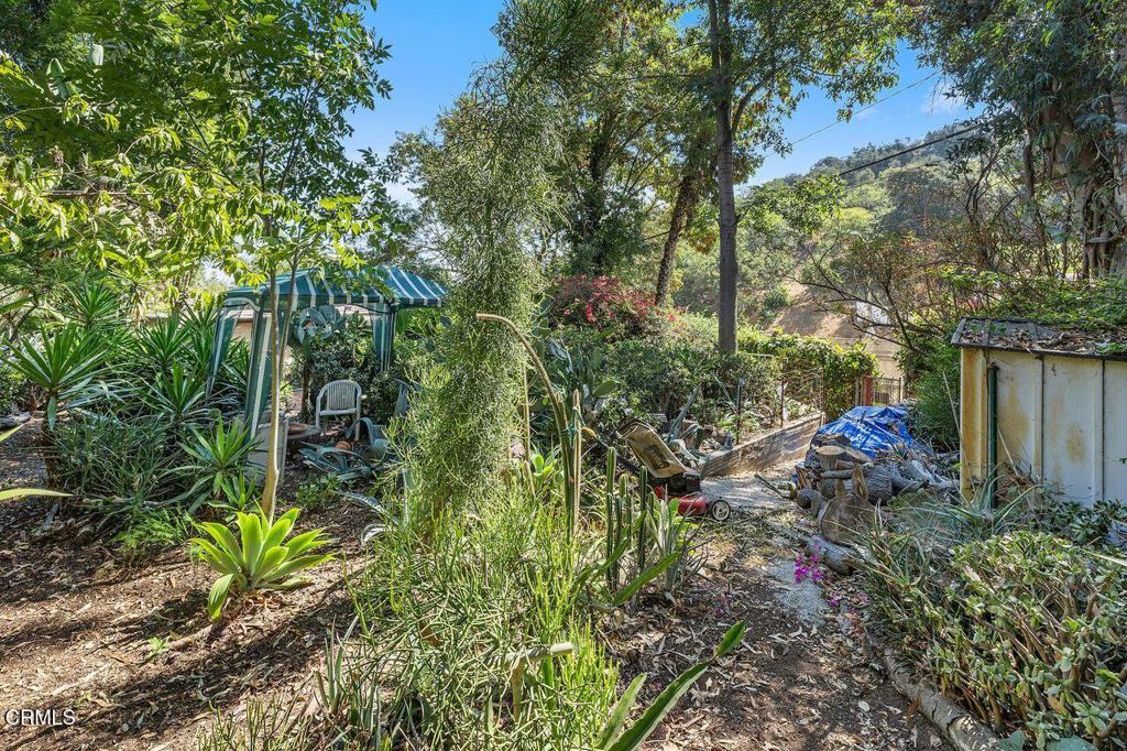 MLS #P1-24012 image #4