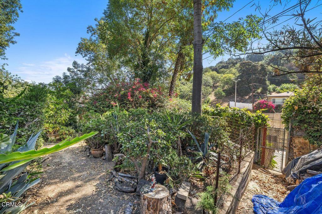 MLS #P1-24012 image #5