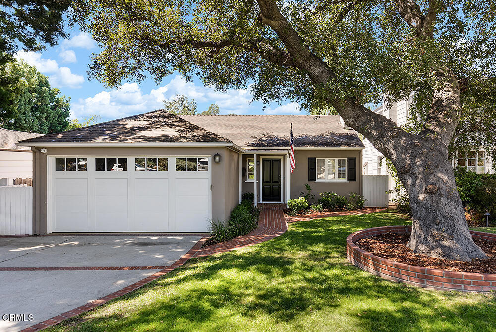 MLS #P1-24035 image #1