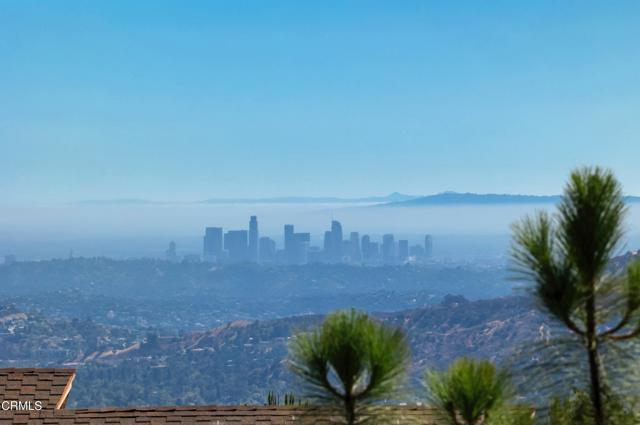 MLS #P1-24049 image #42