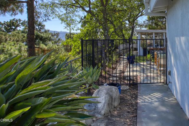 MLS #P1-24049 image #43