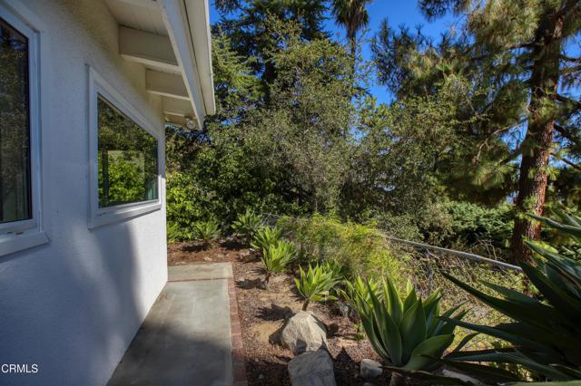 MLS #P1-24049 image #44