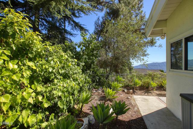 MLS #P1-24049 image #45