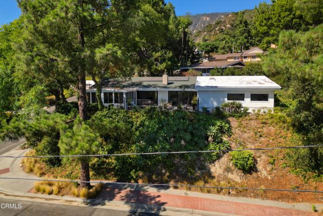 MLS #P1-24049 image #48