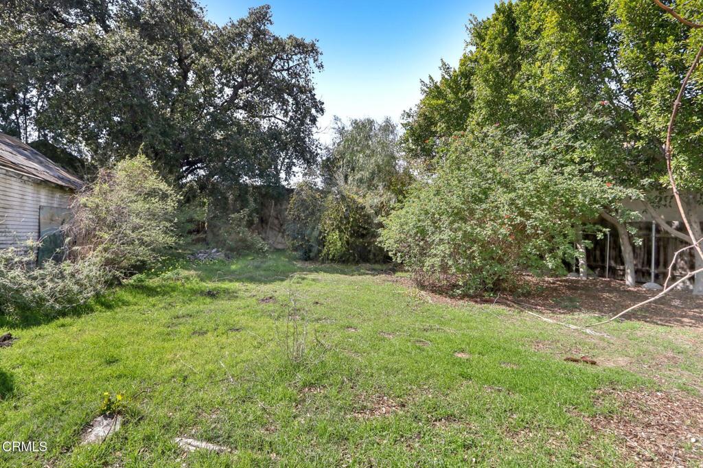 MLS #P1-24066 image #37