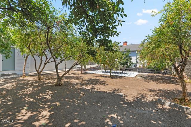 MLS #P1-24071 image #24