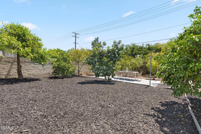 MLS #P1-24071 image #26