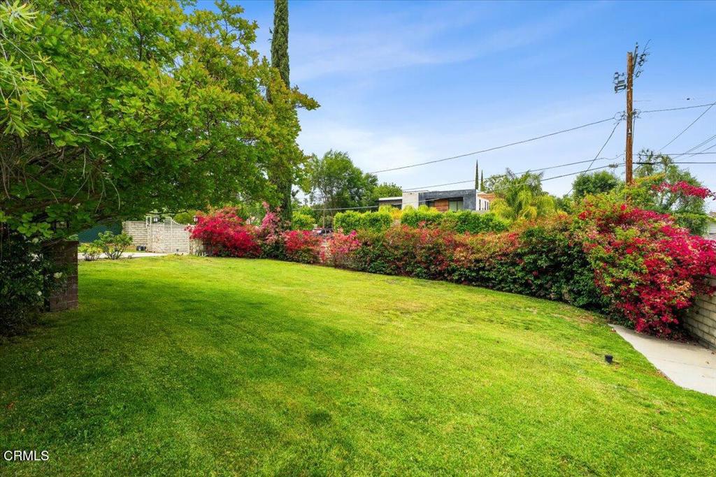 MLS #P1-24078 image #5