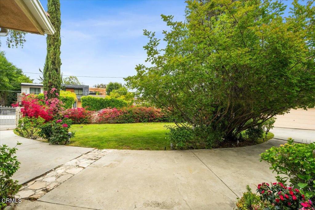 MLS #P1-24078 image #6