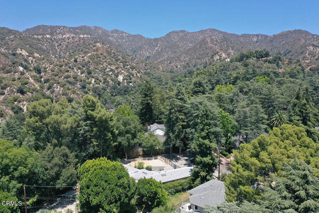 MLS #P1-24081 image #42