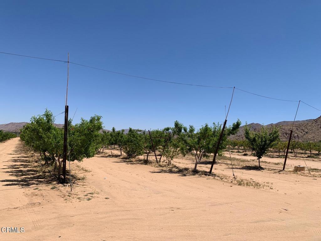 MLS #P1-24099 image #1