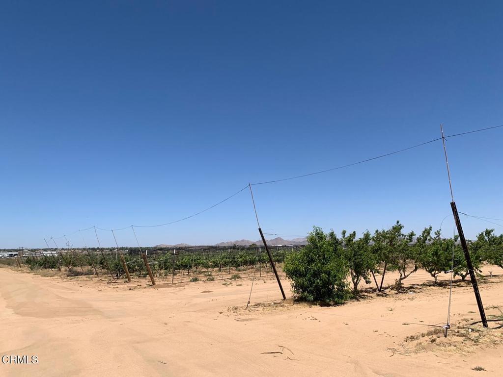 MLS #P1-24099 image #2