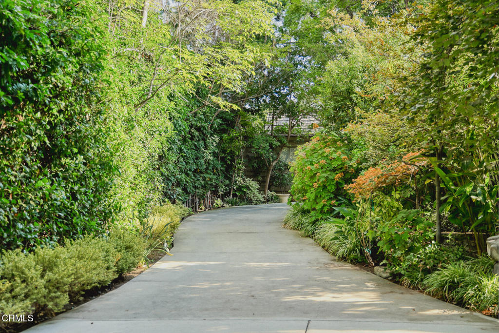 MLS #P1-24117 image #2